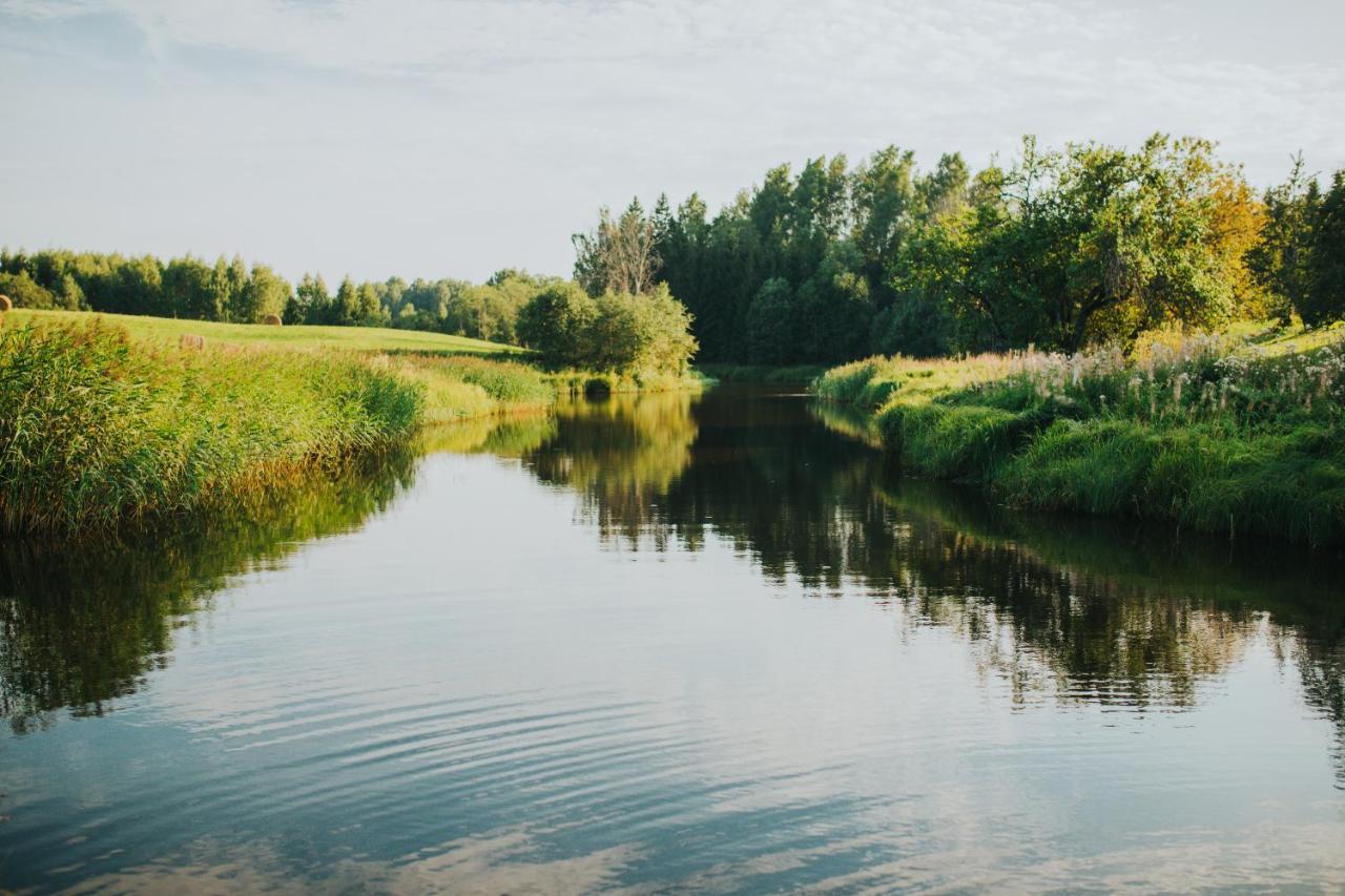 Brivdienu Maja Ar Pirti "Strautkalni" Ieriki Esterno foto